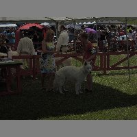 DSCN1328