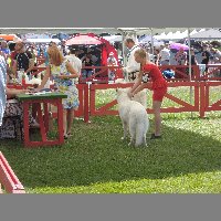 DSCN1329