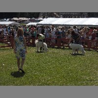 DSCN1331
