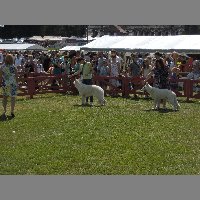 DSCN1332