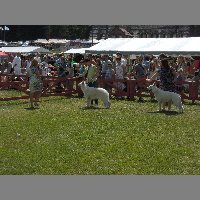 DSCN1333