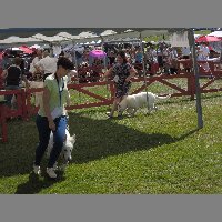 DSCN1335