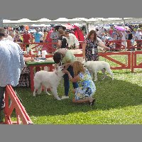 DSCN1339