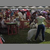 DSCN1344