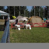 DSCN1358