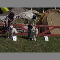 DSCN1361