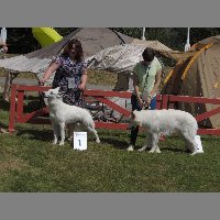 DSCN1362
