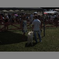DSCN1379