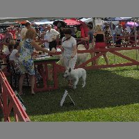 DSCN1381