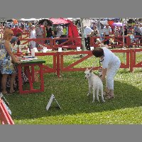 DSCN1382