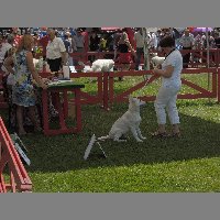 DSCN1383