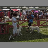 DSCN1384