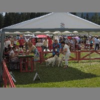 DSCN1385