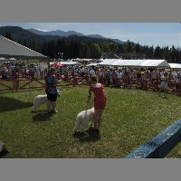 DSCN1404