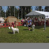 DSCN1409