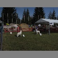 DSCN1412