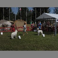 DSCN1413