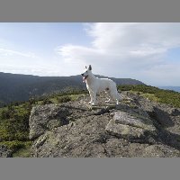 DSCN2681