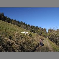 DSCN4155