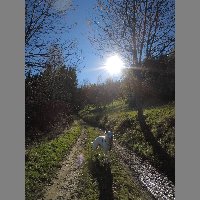 DSCN4173