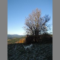 DSCN4193