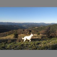 DSCN4204