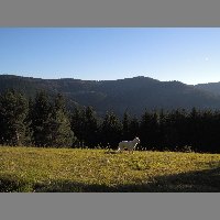 DSCN4250