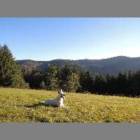 DSCN4252
