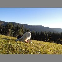 DSCN4296