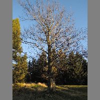 DSCN4334