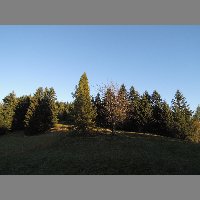 DSCN4343