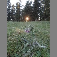 DSCN4349