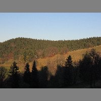DSCN4352