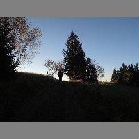 DSCN4354