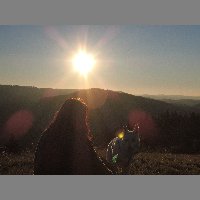 DSCN4381