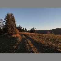 DSCN4395