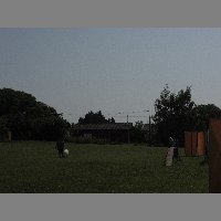 DSCN0728