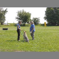 DSCN0746