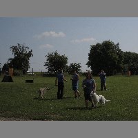 DSCN0749