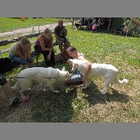 DSCN0752
