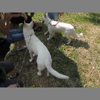 DSCN0762
