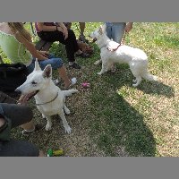DSCN0763