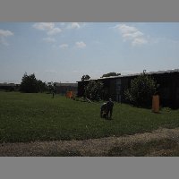DSCN0764