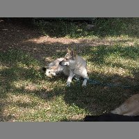 DSCN0766
