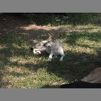 DSCN0767