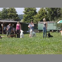 DSCN0782
