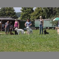 DSCN0783