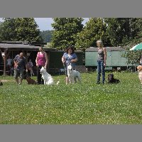 DSCN0784