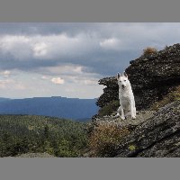 DSCN3657
