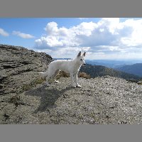 DSCN3678